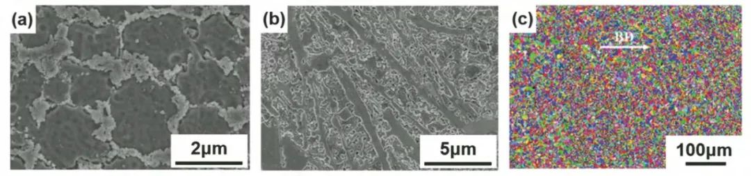 1676452895716337.jpg t1.jpg